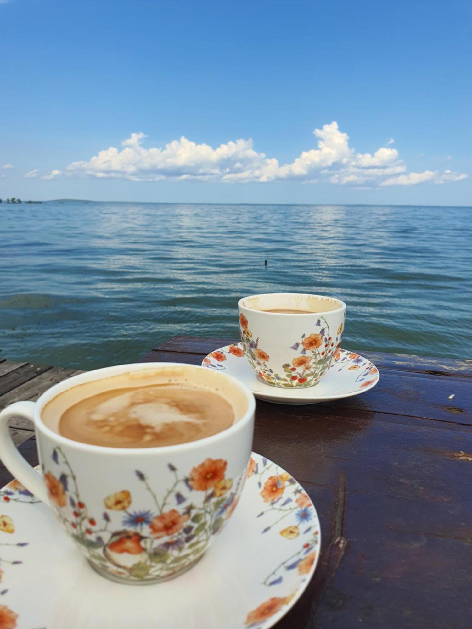 Poarta Apelor Hotel Sarichioi Bagian luar foto